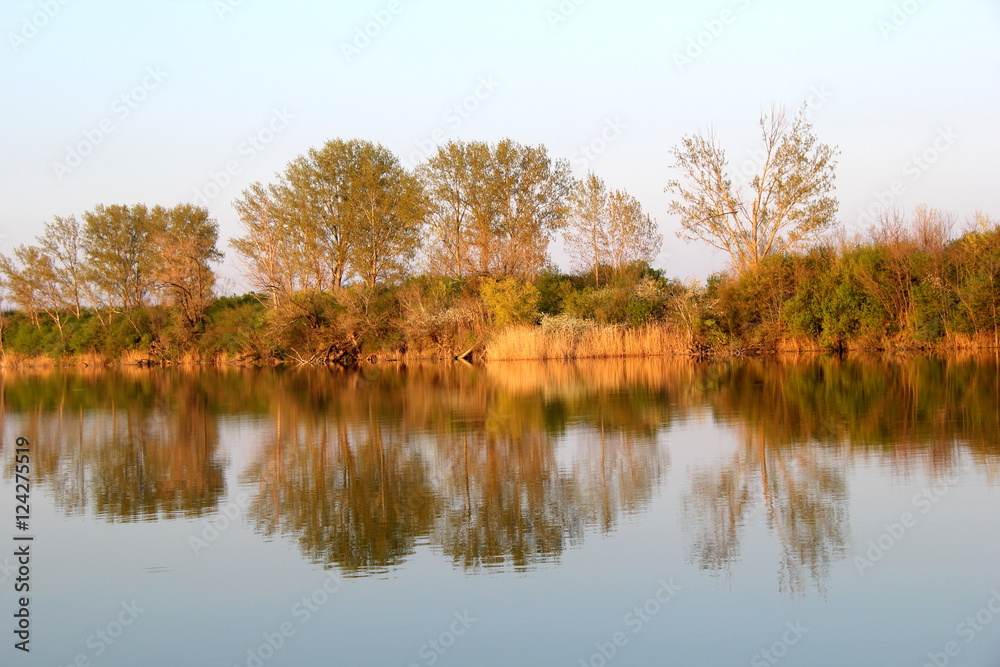 Obraz premium Riverside with trees