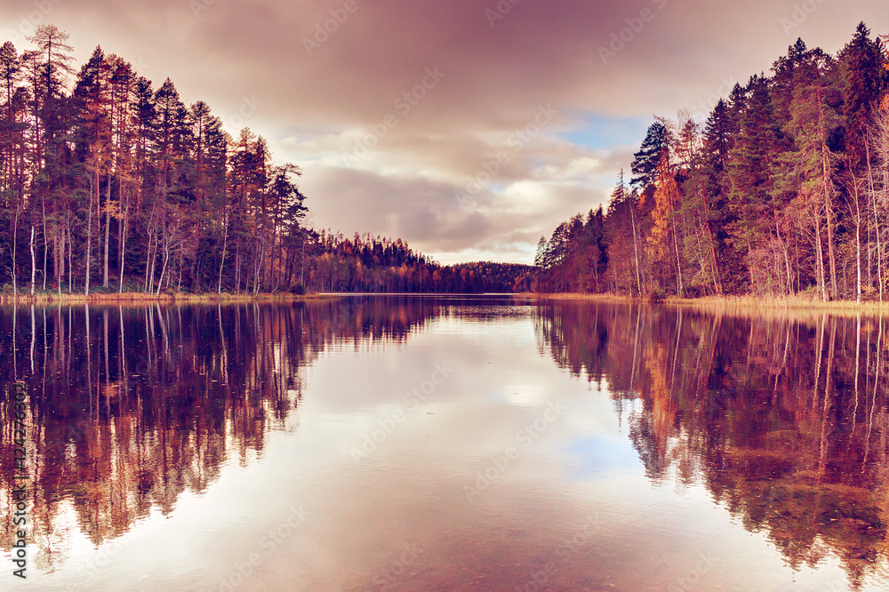Obraz premium Autumn forest on the bank of the river.