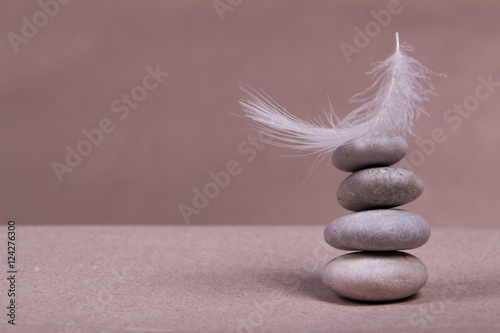 Photography Gray stones and feather of bird on a blurred background