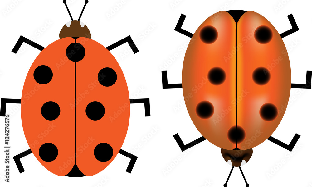 Obraz premium ladybird, ladybug,Ladybird vector illustration,