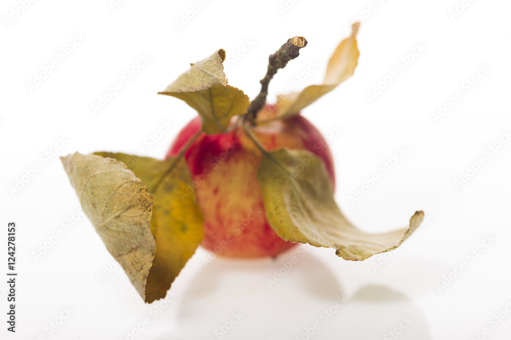 Fototapeta premium Apple with leaves on a white plastic background