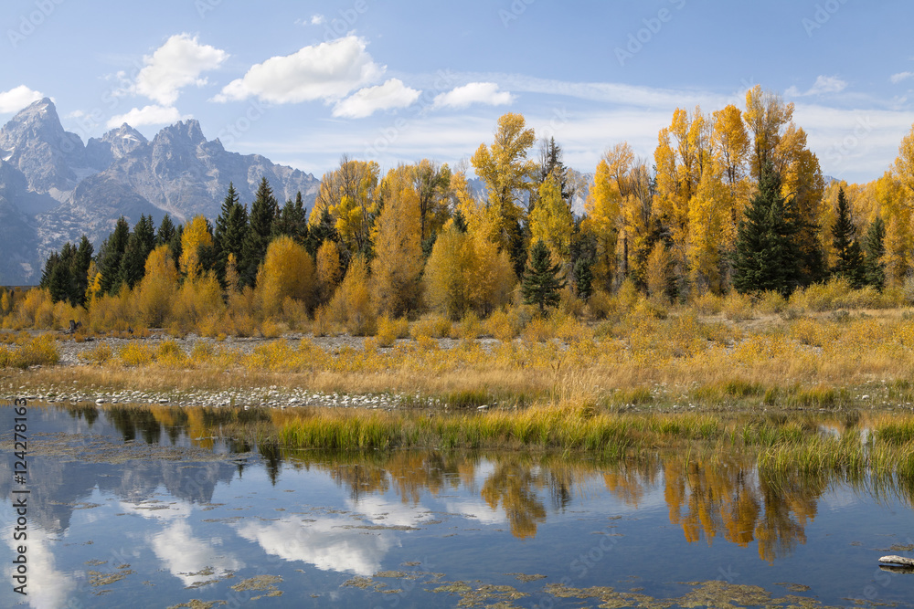 Fall on the Snake River