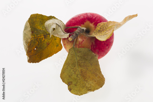 Fototapeta Naklejka Na Ścianę i Meble -  Apple with leaves on a white plastic background