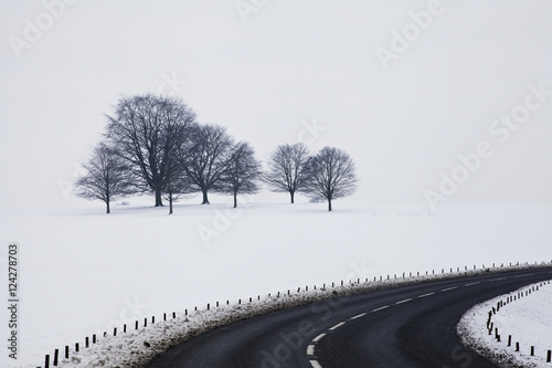 A road curving by a snow covered field and trees in chatsworth park;Derbyshire, england photo