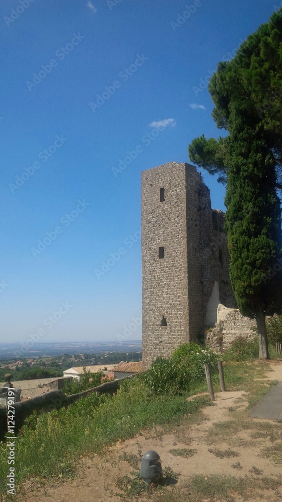 Antica torre nella Rocca dei Papi
