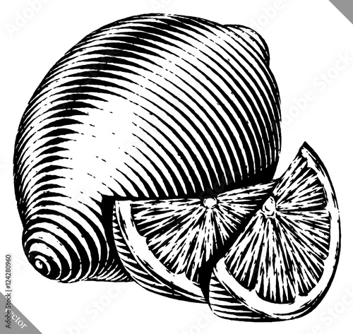 Engraved isolated vector illustration of a lemon