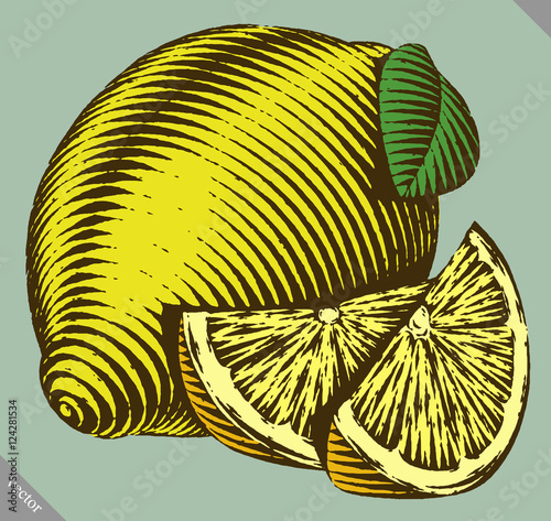 Engraved isolated vector illustration of a lemon