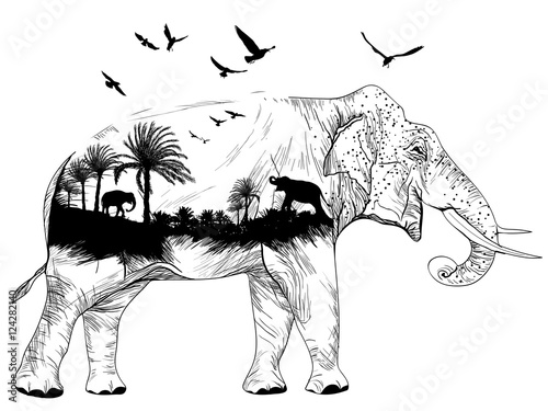 Vector Double exposure, elephant and jungles, wildlife concept