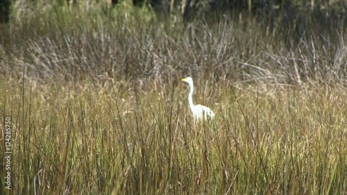 Wetlands of Virginia Beach