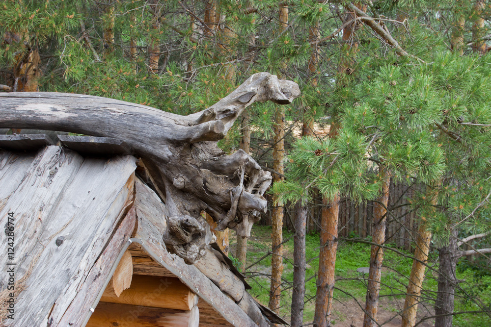 The roof of a wooden house from a log in the woods. The roof of a wooden house from a log in the woods.