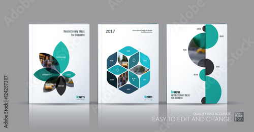 Brochure template layout collection, cover design annual report,