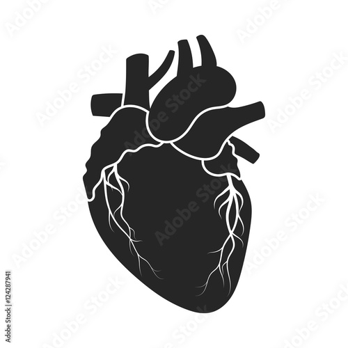 Heart icon in black style isolated on white background. Organs symbol stock vector illustration.