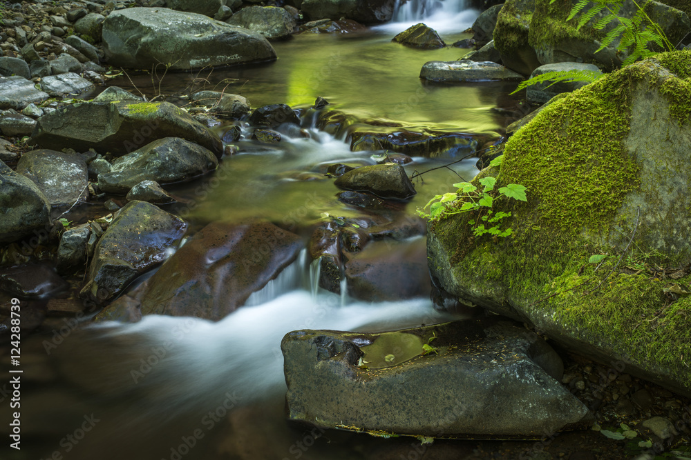 Necarney Creek flows out of the Coast Range at Oswald West State Park; Manzanita, Oregon, United States of America Necarney Creek flows out of the Coast Range at Oswald West State Park; Manzanita, Oregon, United States of America