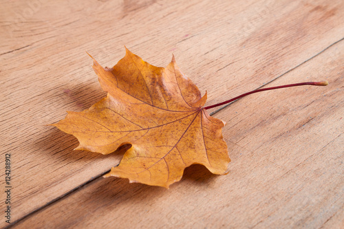 Yellow autumn leaves on wood 