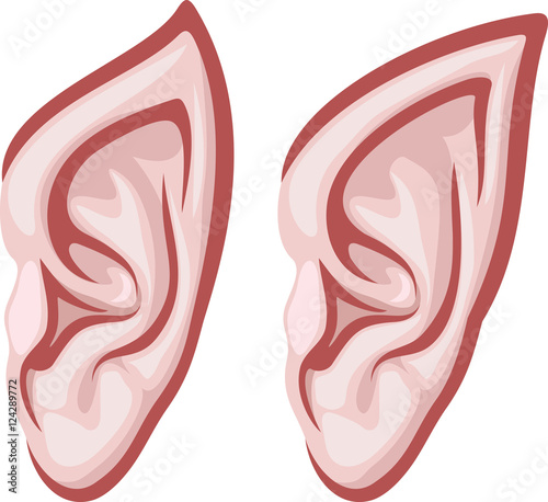 elf ears