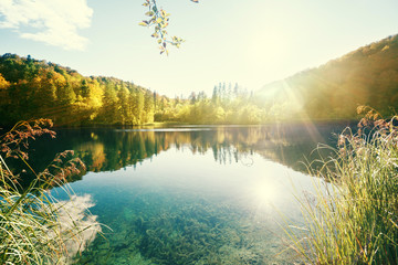 lake in forest, Croatia, Plitvice