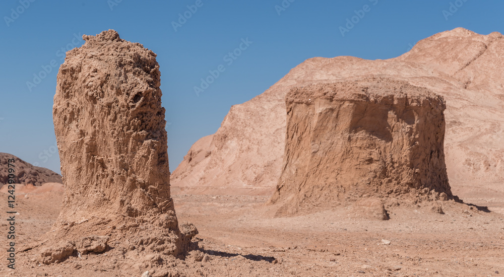 Fototapeta premium Pillars in the Atacama Desert in the Andes Mountains of Chile
