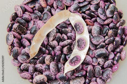 Foto Styrian scarlet runner beans