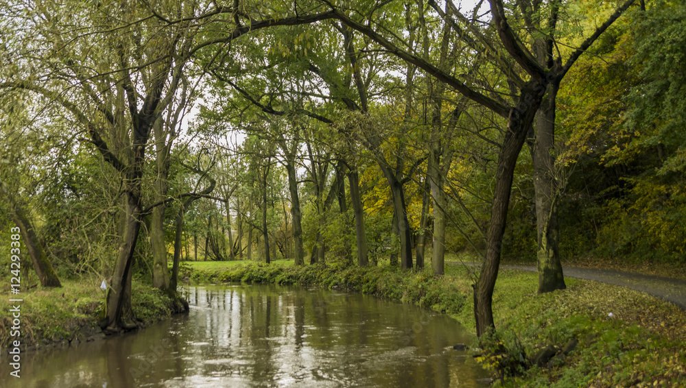 Bilina river in leaf trees forest Bilina river in leaf trees forest