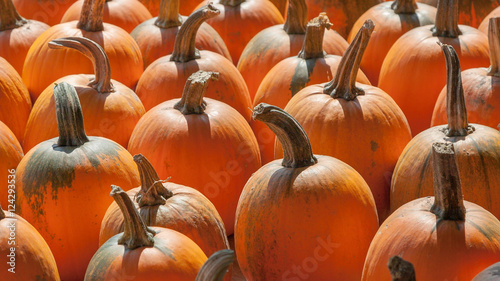 Pumpkins