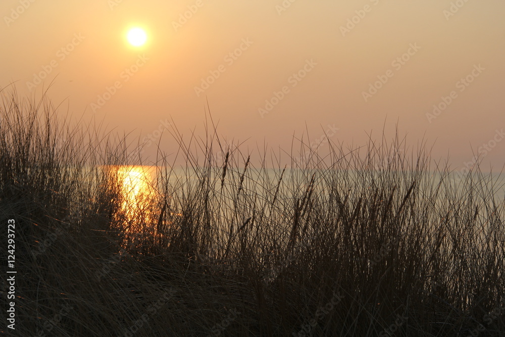 Obraz premium Sonnenuntergang an der Düne
