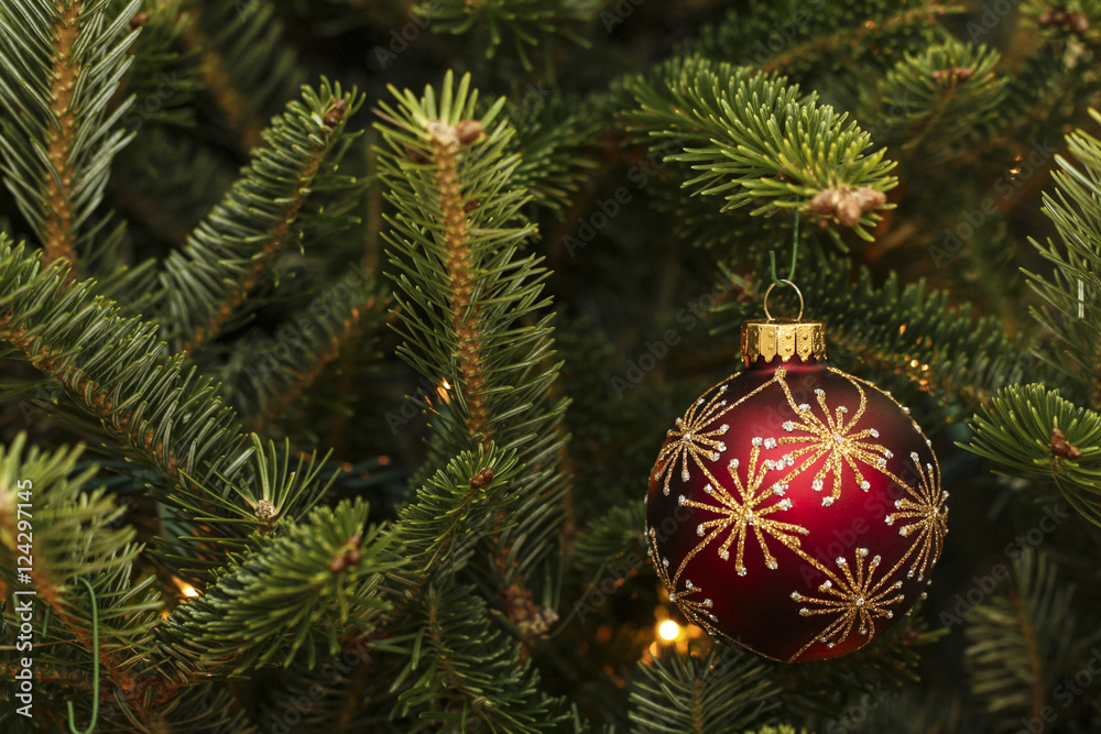Image of a Christmas Ball Ornament
