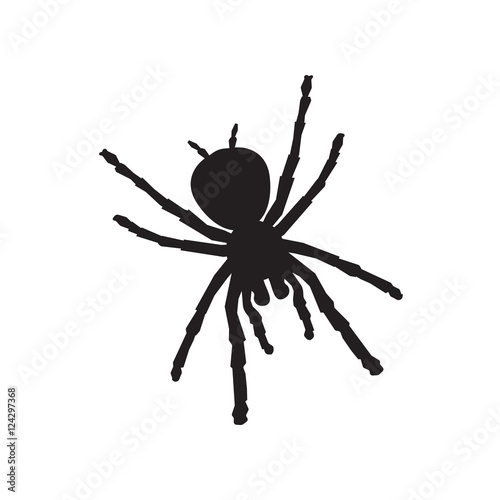 halloween spider icon