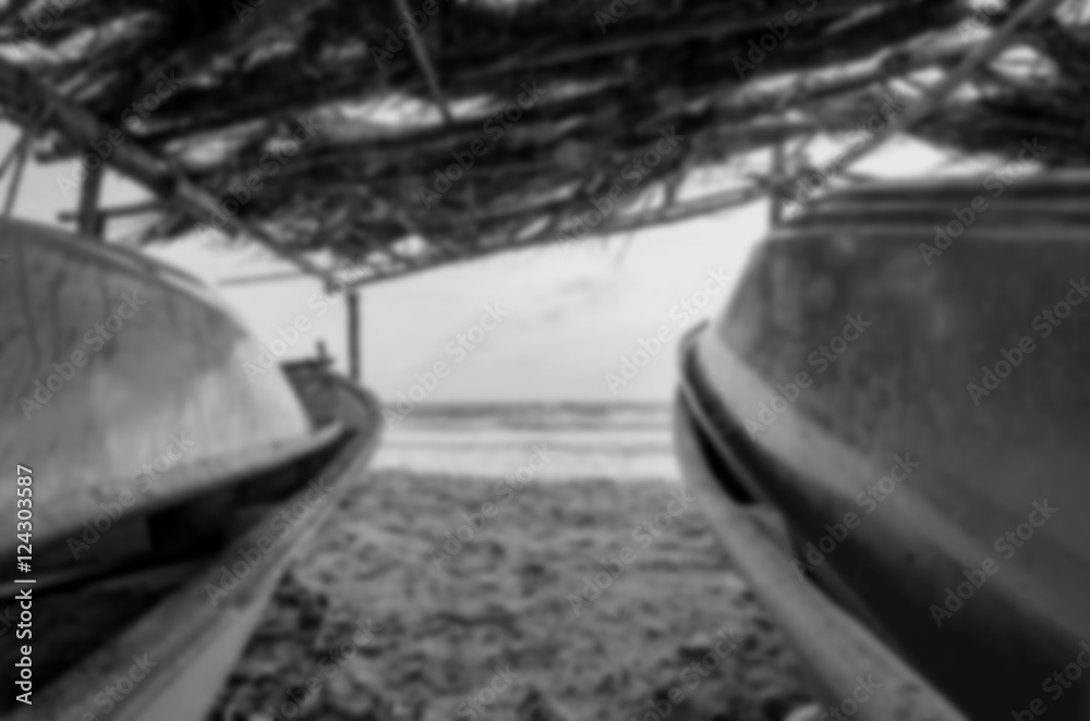 blurred image of fisherman boat under wooden  cottage. fronds ro - obrazy, fototapety, plakaty 