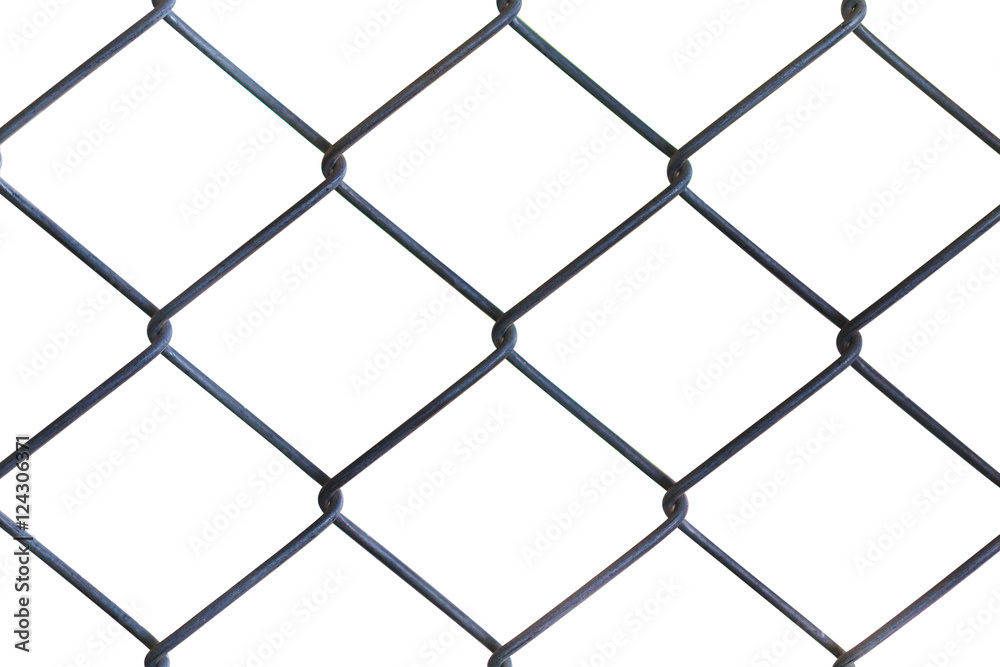 Wire mesh fence. White background. Wire mesh fence. White background.