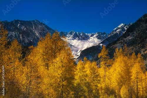 Golden aspens and snow capped mountains at autumn in Colorado's San Juan Mountains