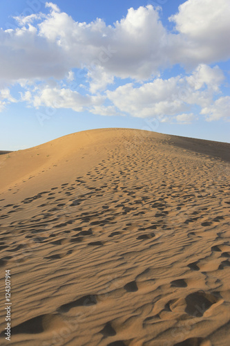 and dunes in Gobi desert. South of Mongolia