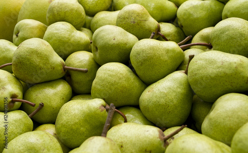 Plenty of Packham pears