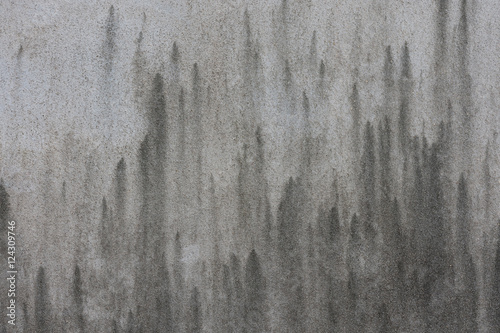 Wall plastered with cement. When exposed to moisture for a long time will be black mold, a beautiful pattern.