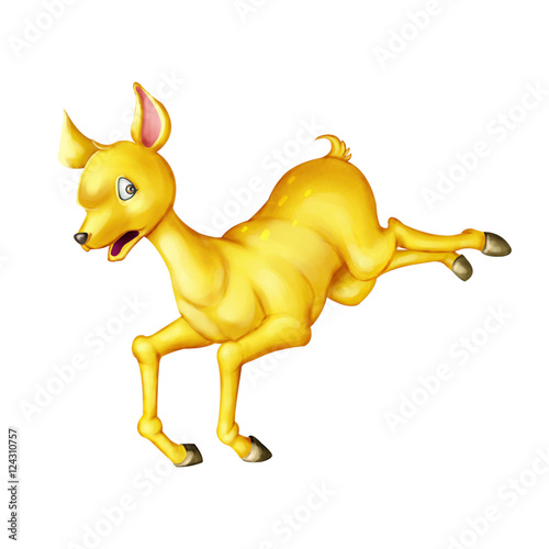 Deer