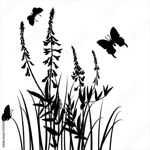 vector silhouettes of flowers and grass with butterflies