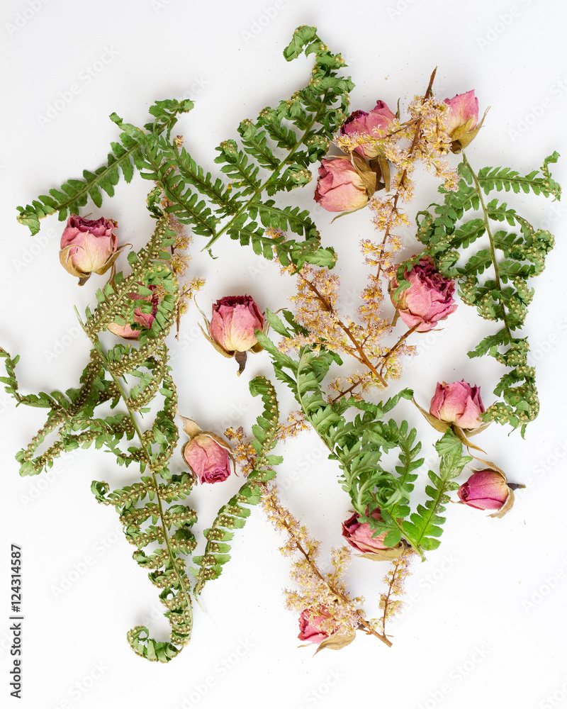 Frame, roses, leaves