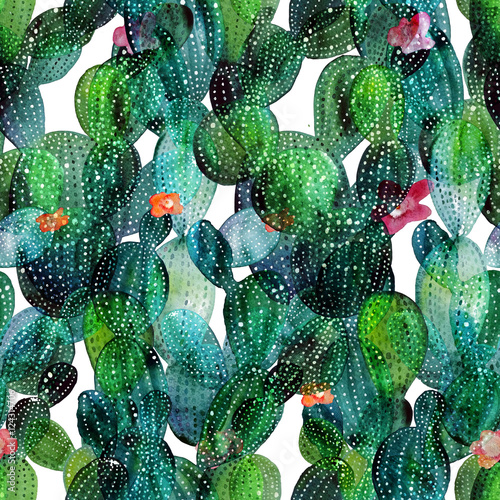 Wzór kaktusa w stylu przypominającym akwarele