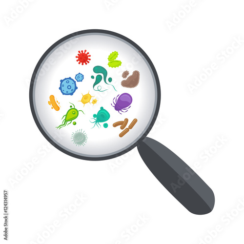 Bacteria and virus under the magnifying glass vector illustration