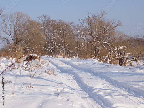 Field road in the winter
