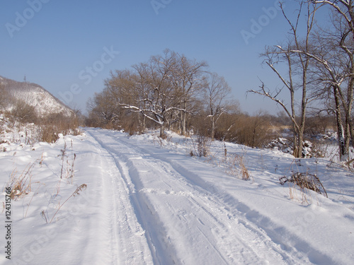 Field road in the winter