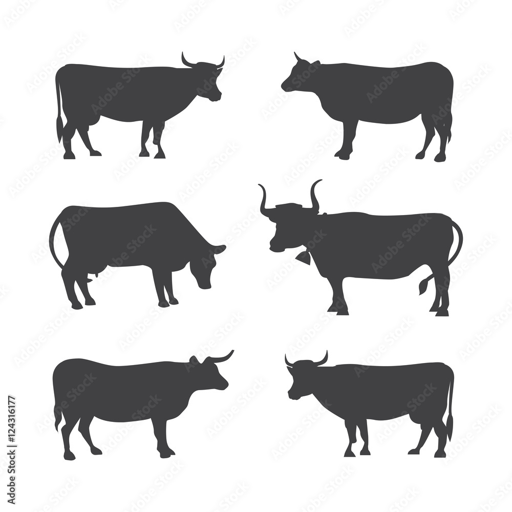 Set of different cows, isolated. Vector illustration of cow silhouette.
