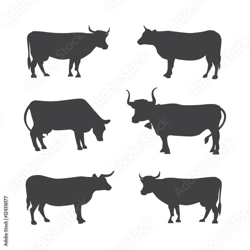 Set of different cows, isolated. Vector illustration of cow silhouette.