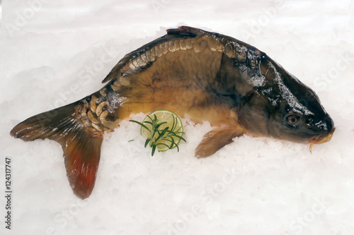Karpfen mit Kopf frischer Fisch auf Eis © Saarcopter