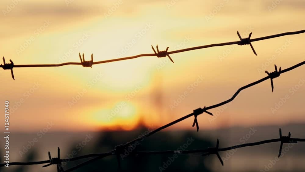 barbed wire prison sunset orange background