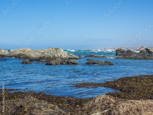 MacKerricher State Park photo