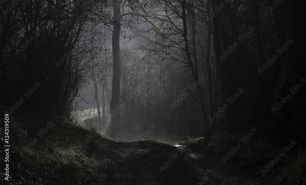 Obraz premium Matin d'hiver