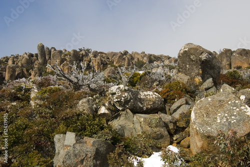 frosty landscape