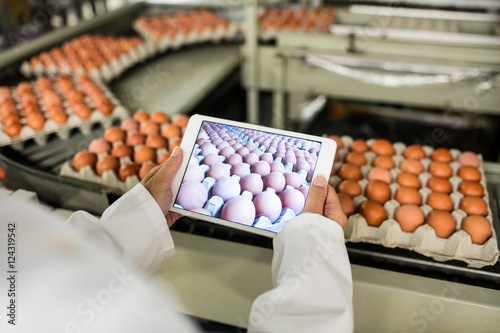 Mid section of female staff tacking picture of egg cartons on di photo