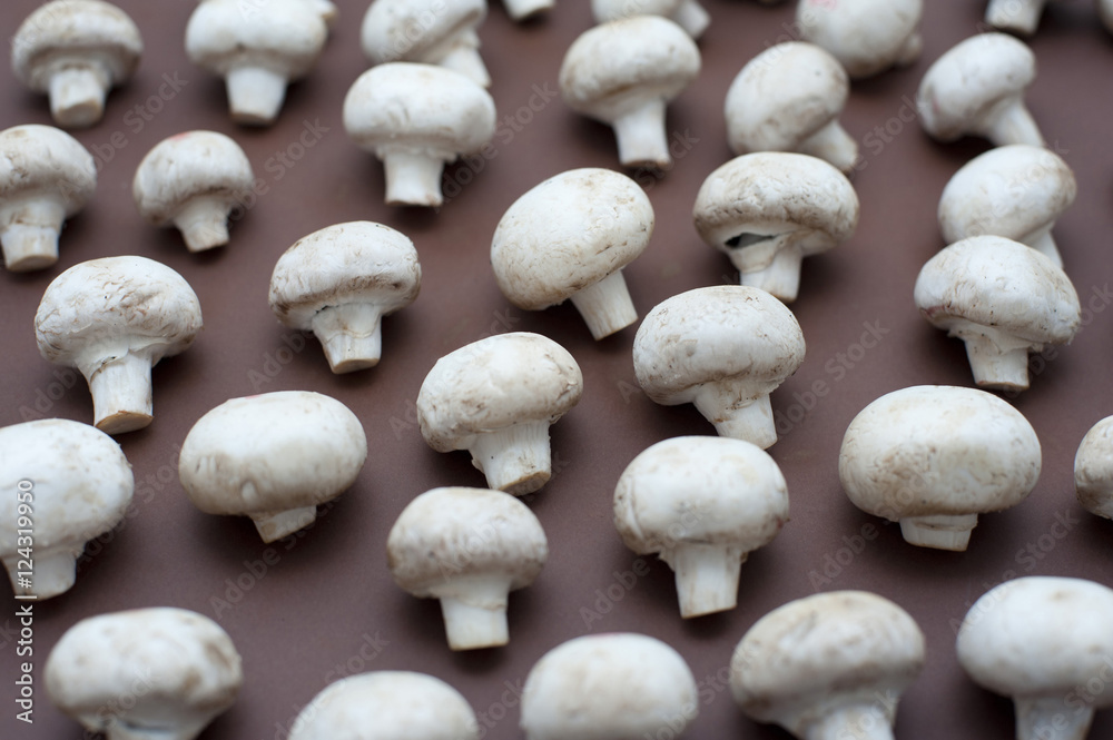Array of neatly arranged mushrooms Array of neatly arranged mushrooms