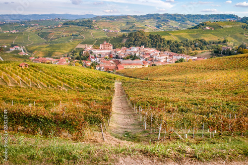 Tableau sur toile Langhe vitigni paesaggio collinare